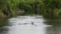 Tsavo West Mzima Spings &ndash; &copy; Frank Nimschowski (Eberhardt TRAVEL)