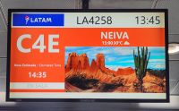Flug  Bogota - Neiva