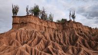 Tatacoa - Wüste &ndash; &copy; Petra Hady (Eberhardt TRAVEL)