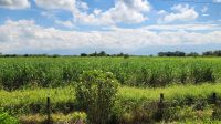 Busfahrt nach Salento - Kaffeeregion &ndash; &copy; Petra Hady (Eberhardt TRAVEL)
