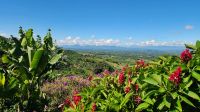 Blick über die Kaffeeplantage &ndash; &copy; Petra Hady (Eberhardt TRAVEL)