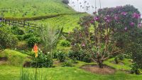 Cocoa - Tal &ndash; &copy; Petra Hady (Eberhardt TRAVEL)
