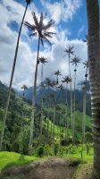 Cocoa - Tal &ndash; &copy; Petra Hady (Eberhardt TRAVEL)