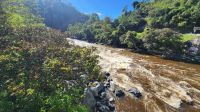 Magdalena - Fluss &ndash; &copy; Petra Hady (Eberhardt TRAVEL)