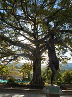 DSCN6971 &ndash; &copy; Kerstin Heintzel (Eberhardt TRAVEL)