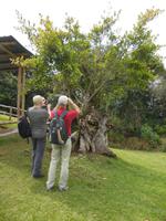 DSCN7006 &ndash; &copy; Kerstin Heintzel (Eberhardt TRAVEL)