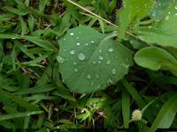 DSCN7007 &ndash; &copy; Kerstin Heintzel (Eberhardt TRAVEL)