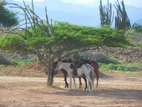 DSCN7112 &ndash; &copy; Kerstin Heintzel (Eberhardt TRAVEL)