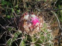 DSCN7133 &ndash; &copy; Kerstin Heintzel (Eberhardt TRAVEL)