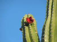 DSCN7139 &ndash; &copy; Kerstin Heintzel (Eberhardt TRAVEL)