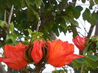 DSCN7273 &ndash; &copy; Kerstin Heintzel (Eberhardt TRAVEL)
