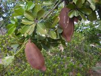 DSCN7275 &ndash; &copy; Kerstin Heintzel (Eberhardt TRAVEL)