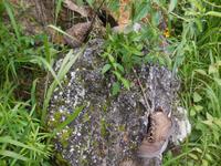 DSCN7304 &ndash; &copy; Kerstin Heintzel (Eberhardt TRAVEL)