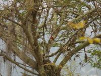 DSCN7310 &ndash; &copy; Kerstin Heintzel (Eberhardt TRAVEL)