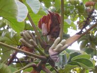 DSCN7351 &ndash; &copy; Kerstin Heintzel (Eberhardt TRAVEL)