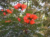 DSCN7353 &ndash; &copy; Kerstin Heintzel (Eberhardt TRAVEL)
