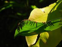 DSCN7401 &ndash; &copy; Kerstin Heintzel (Eberhardt TRAVEL)
