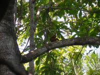 DSCN7411 &ndash; &copy; Kerstin Heintzel (Eberhardt TRAVEL)