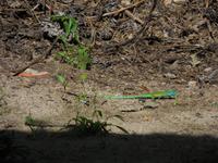 DSCN7444 &ndash; &copy; Kerstin Heintzel (Eberhardt TRAVEL)