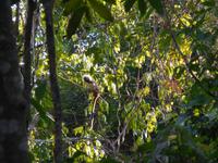 DSCN7459 &ndash; &copy; Kerstin Heintzel (Eberhardt TRAVEL)