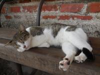 DSCN7588 &ndash; &copy; Kerstin Heintzel (Eberhardt TRAVEL)