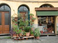 Lucca &ndash; &copy; Mareen Scholz (Eberhardt TRAVEL)