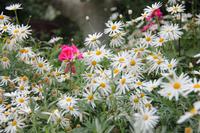 Singapur - Gardens by the Bay &ndash; &copy; Sylvia Ott (Eberhardt TRAVEL)