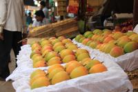 Mumbai - Crawford Market &ndash; &copy; Sylvia Ott (Eberhardt TRAVEL)
