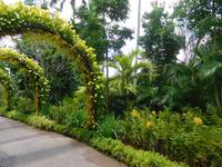 Orchideengarten Singapur &ndash; &copy; Laura Schwanitz (Eberhardt TRAVEL)