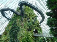 Gardens by the Bay Singapur &ndash; &copy; Laura Schwanitz (Eberhardt TRAVEL)