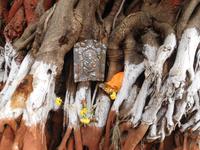 Götter überall - Indien &ndash; &copy; Laura Schwanitz (Eberhardt TRAVEL)