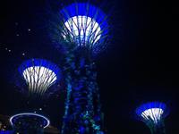 Gardens by the Bay Singapur &ndash; &copy; Laura Schwanitz (Eberhardt TRAVEL)