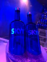 Icebar &ndash; &copy; Sabine Letzybyll (Eberhardt TRAVEL)