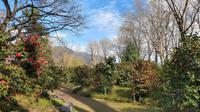 465 Locarno, Kameliengarten &ndash; &copy; Konrad Füssel (Eberhardt TRAVEL)