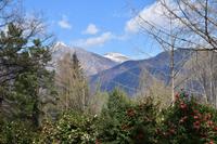 466 Locarno, Kameliengarten &ndash; &copy; Konrad Füssel (Eberhardt TRAVEL)