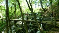 Wege in Plitvice