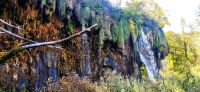 4-49 NP Plitvicer Seen &ndash; &copy; Konrad Füssel (Eberhardt TRAVEL)