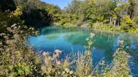 20261001_4 Herbstimpressionen bei den Plitwitzer Seen.jpg &ndash; &copy; Michael Rass (Eberhardt TRAVEL)