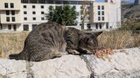 20261005_4 Hunger.jpg &ndash; &copy; Michael Rass (Eberhardt TRAVEL)