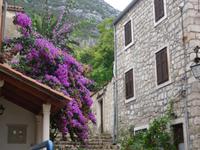 Ston &ndash; &copy; Ingrid Langer (Eberhardt TRAVEL)