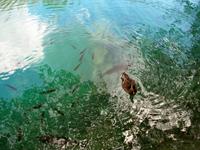 Nationalpark Plitvice &ndash; &copy; Steffen Mucke (Eberhardt TRAVEL)