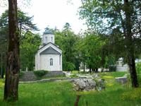 Cetinje