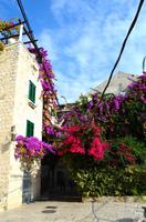 484 Split &ndash; &copy; Konrad Füssel (Eberhardt TRAVEL)