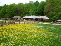 Plitwitzer Seen &ndash; &copy; Steffen Mucke (Eberhardt TRAVEL)