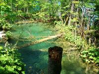Plitwitzer Seen &ndash; &copy; Steffen Mucke (Eberhardt TRAVEL)