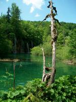 Plitwitzer Seen &ndash; &copy; Steffen Mucke (Eberhardt TRAVEL)