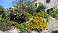 Bunte Blumen in dem kleinen Städtchen Ston &ndash; &copy; Paula Pollul (Eberhardt TRAVEL)