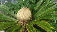 P1110601 &ndash; &copy; Hubert Hellbach (Eberhardt TRAVEL)