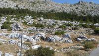 P1110808 &ndash; &copy; Hubert Hellbach (Eberhardt TRAVEL)