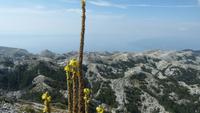 P1110819 &ndash; &copy; Hubert Hellbach (Eberhardt TRAVEL)